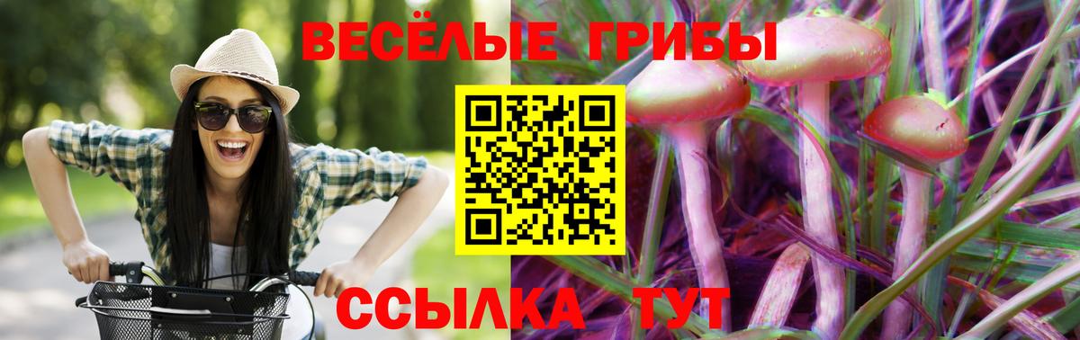 Галлюциногенные грибы Psilocybe  Вход с VPN  Мегион  Галлюциногенные грибы MAGIC MUSHROOMS 